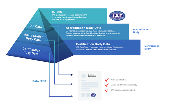 What is Accrediting Bodies